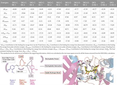 Interactions between curcumin and human salt-induced kinase 3 elucidated from computational tools and experimental methods